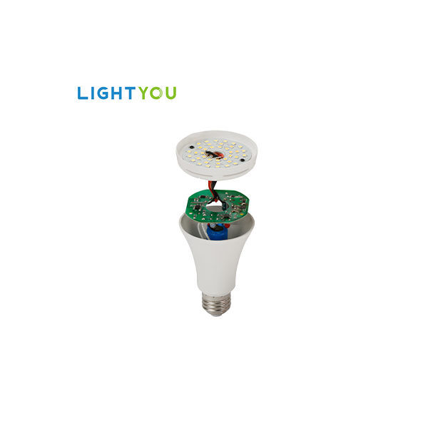 Dob Bulb Products